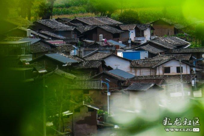 第三届中国西部兰花博览会2月在大理鹤庆启幕